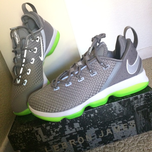 Nike Other - Nike Lebron XIV Low men’s sneakers